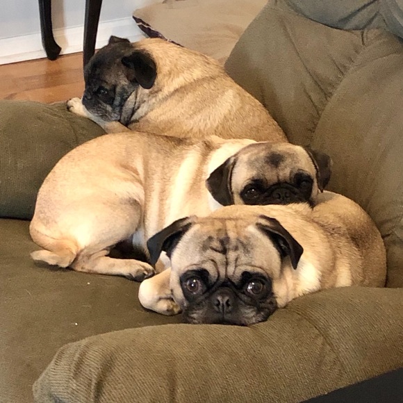 Meet the Posher - Picture 5 of 5